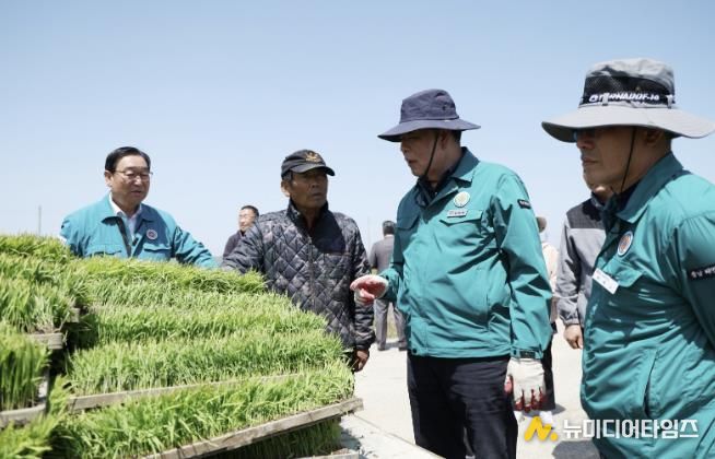 7일 이원면 포지리의 한 논에서 모내기를 실시하는 모습.