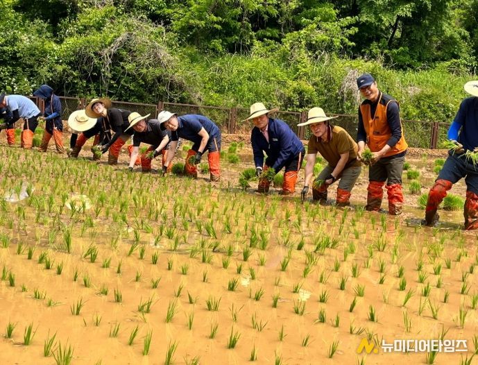 문경돌리네습지서 친환경 손모내기 행사 열려
