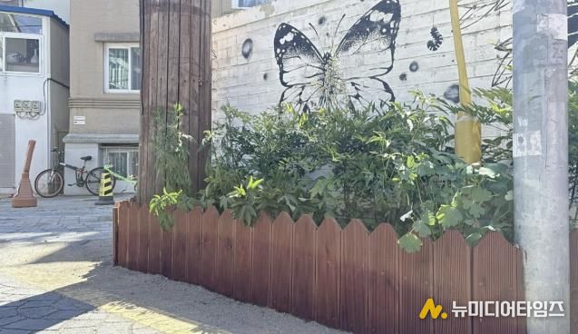 수원시 팔달구 행궁동, 방치 화단 ‘손바닥정원’으로 새단장