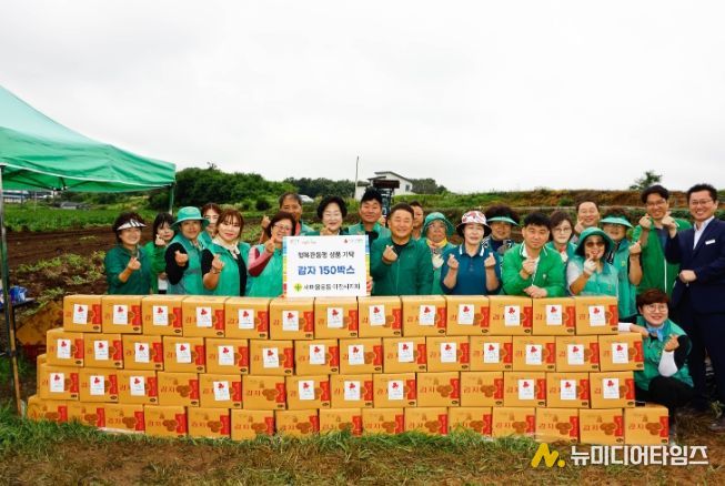 새마을운동 이천시지회, 감자 수확해 이웃과 온정 나눠