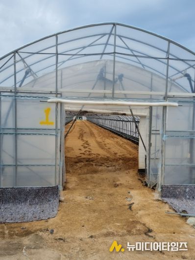 광주시, 토마토 농가 대상 2026년 시설하우스(객토) 지원사업 수요 조사 실시
