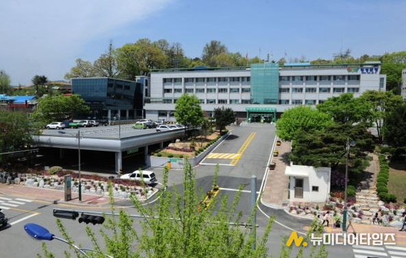 횡성군CJD