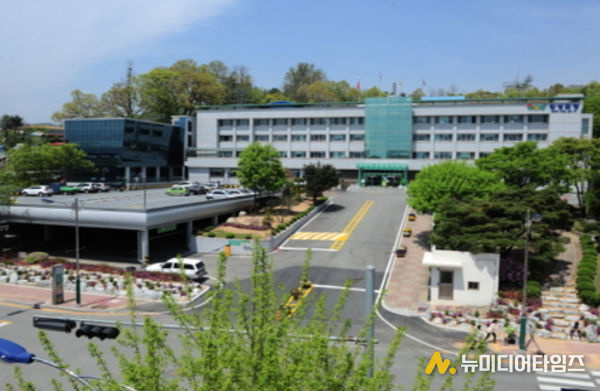 횡성군CJD
