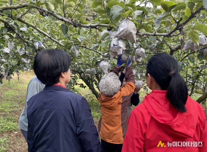 가을 야유회‘달콤한 기억 담기