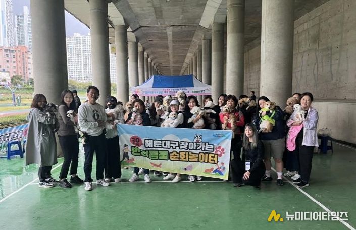 해운대구 반려동물