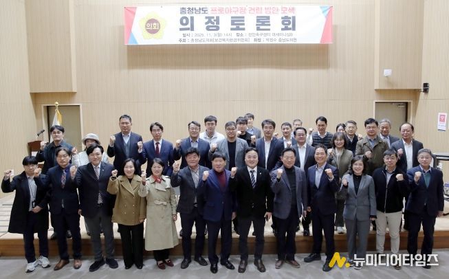 충청남도 프로야구장 건립 방안 모색