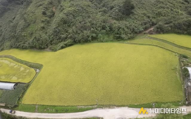 경기도 남양주시 조안면 시우리 222-3번지 일원에 있는 「구리시 관외 농지 활용 벼농사 체험장」 전경