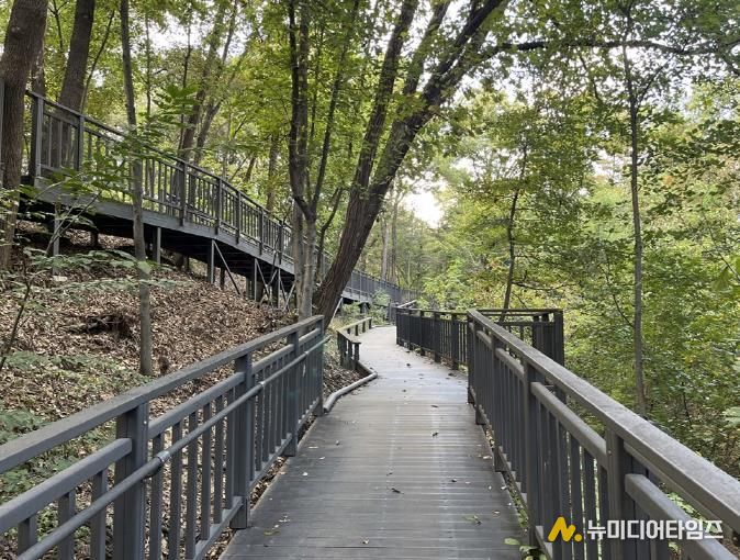 추동숲정원 데크길