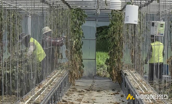 보은군, 라오스 계절근로자 파견 종료… 1582농가에 ‘든든한 힘’