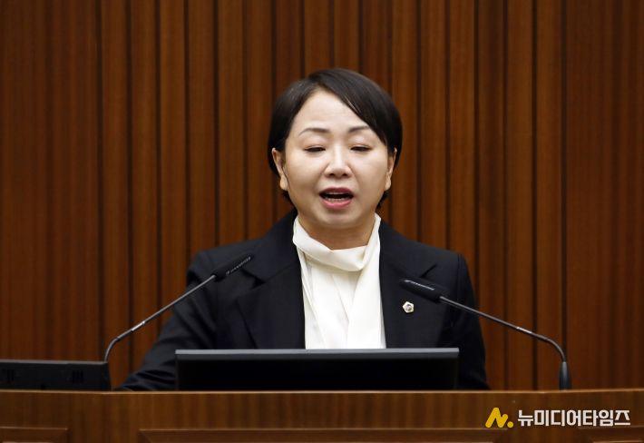 세종시의회 홍나영 의원