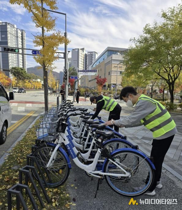 어울링 재배치 현장 사진