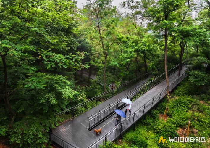 남산자락숲길 산책길
