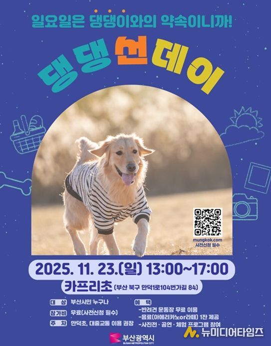 댕댕 Sunday(반려동물 오픈 피크닉)