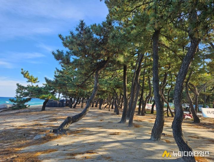 무장애 나눔길 조성