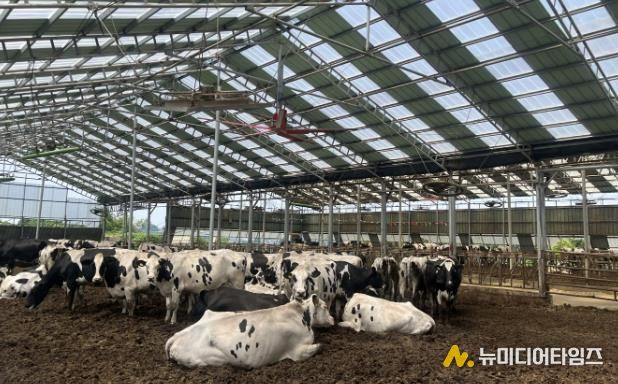 2025년 낙농육우산업 경쟁력 강화사업으로 대형환풍기 설비를 지원받은 축산농가 모습