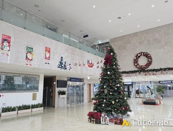 예산군청사 크리스마스 트리 모습