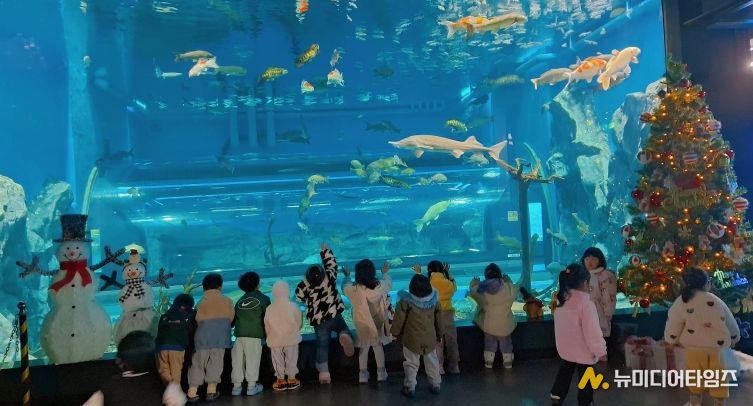 충북아쿠아리움에서 만나는 특별한 크리스마스