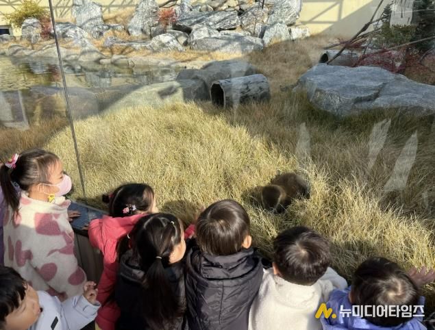 충주아쿠아리움, 수달 공개 시작!