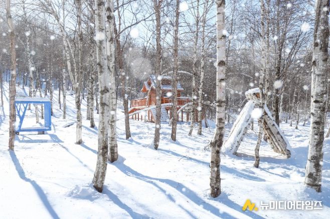 태백시, 인플루언서와 손잡고 겨울 콘텐츠 홍보
