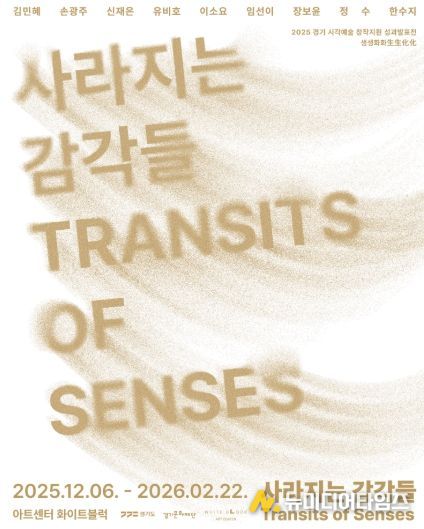 사라지는 감각들 포스터