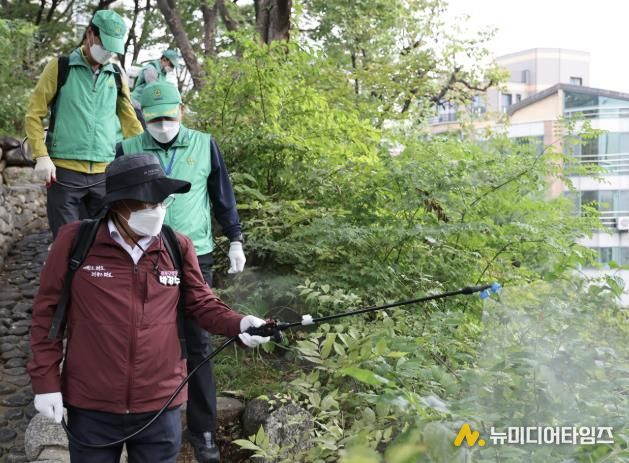 집중 방역소독의 날에 방역 작업을 하고 있는 박강수 마포구청장
