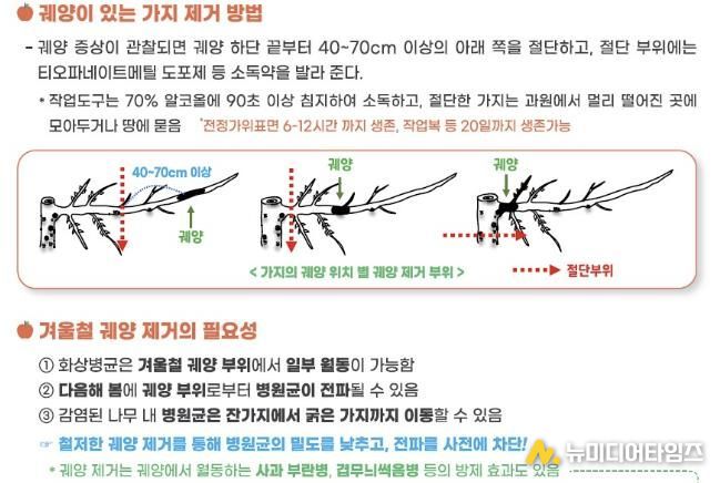 과수화상병 의심궤양 예찰 사진