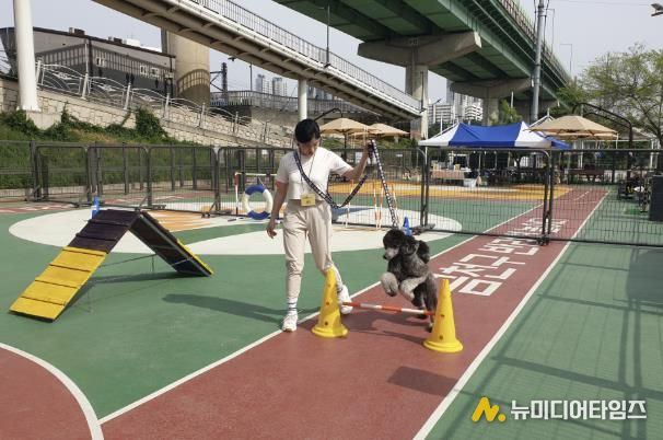 2025년 금천구 반려견 놀이터에서 운영한 반려동물 문화교실 프로그램
