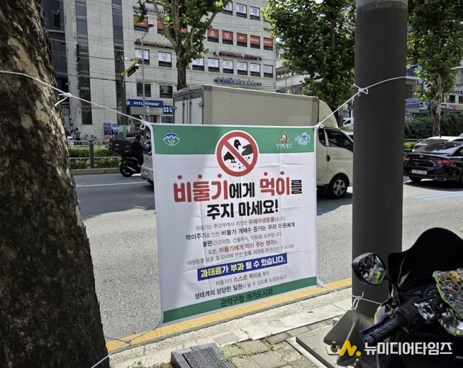 신림역 일대 남부순환로에 게첨된 비둘기 먹이주기 금지 안내문