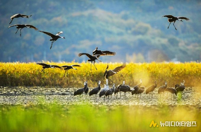 ‘한국 건강 지수’ 호남권 1위 선정