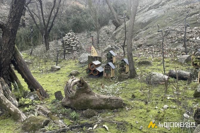 서대문구 안산(鞍山) 쉬나무 쉼터 일대 ‘이끼숲’에 조성된 일명 ‘곤충마을’