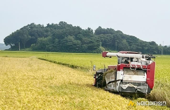 올해 9월 대산읍 일원에서 농가가 추수하는 모습
