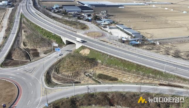 국도45 삽교교차로 기후대응도시숲 조성 모습