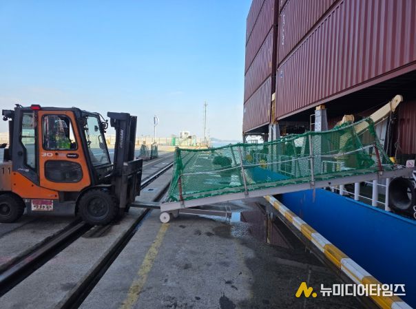 인천신항 선광신컨테이너터미널에서 힌지식 포크슬롯을 활용해 개발한 승하선 이동용 사다리를 설치하고 있다 / 사진제공 = 인천항만공사