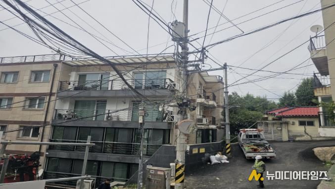 전선경합 위험수목 처리(후)