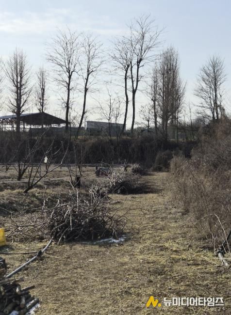 영농부산물 파쇄 작업 모습