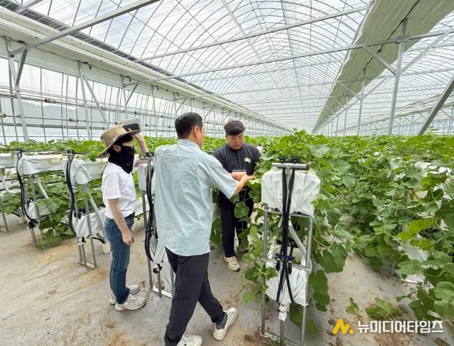지난해 스마트팜 선도농가 현장실습 모습