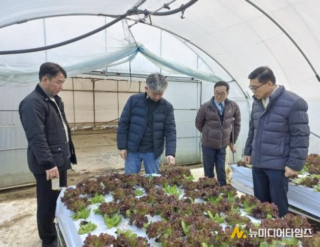 충주시, 시설채소 농가 겨울철 자연재난 대비 현장 점검 실시