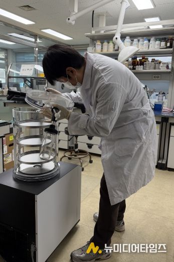 인삼 뿌리썩음병 진단 모습