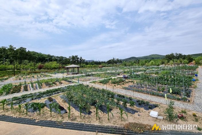 인천중구시설관리공단, 2026년 도시농업활동 참여자 모집