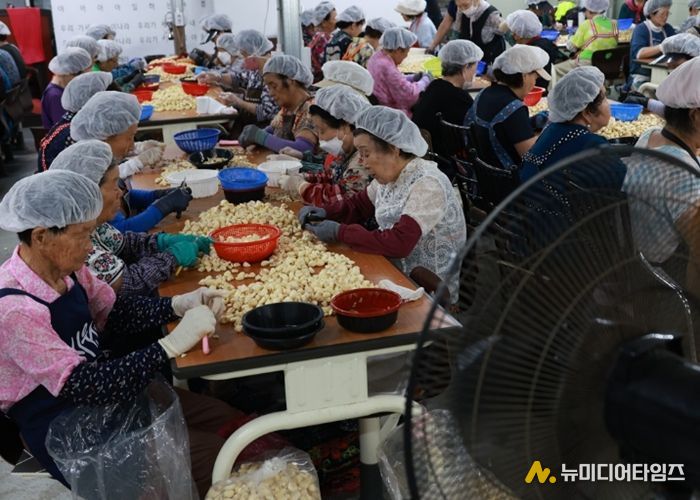 노인·장애인의 활력사업 ‘일하는 밥퍼’ 일 참여인원 4,000명 돌파