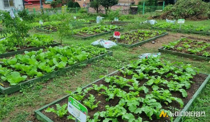 강북 도시농업 체험장 전경