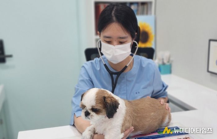 우리동네 동물병원 진찰 모습