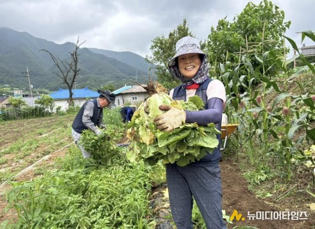 지난해 단양에서 살아보기 체험 모습