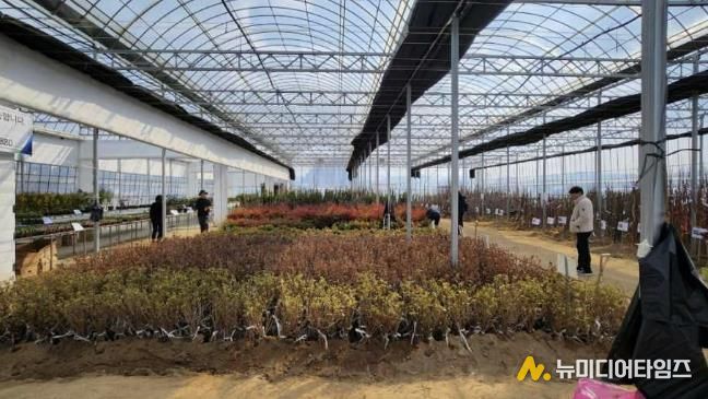 충주시, 봄철 나무심기 맞아 159ha 조림사업 추진