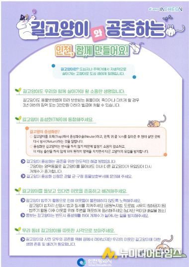 계양구, 길고양이 중성화 수술(TNR) 지원사업 추진