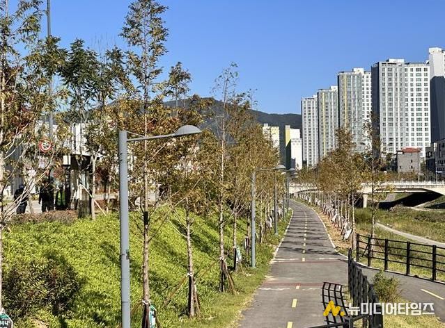 청주시, 20ha 구간 도시바람길숲 조성 2차년도 사업 착공