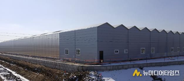 조성 현장 전경