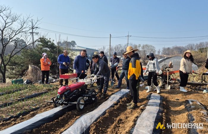 진천군 농촌지원과, 덕산읍 감자밭서 일손돕기 ‘구슬땀’