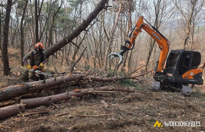 소나무재선충병 방제사업 현장사진
