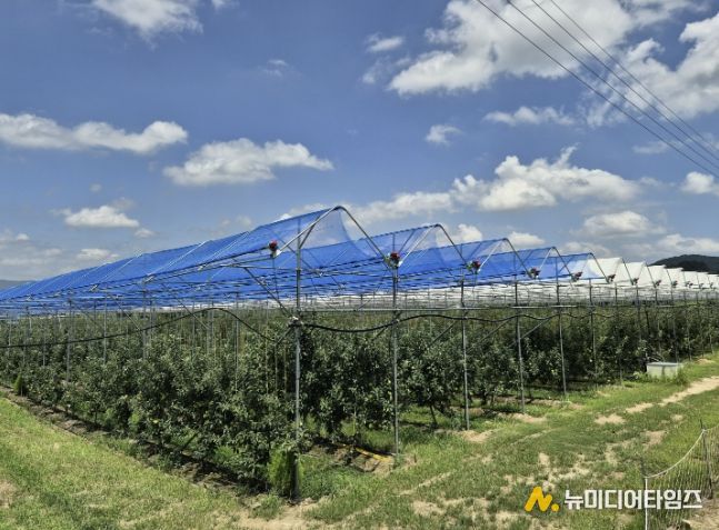 보은군, 스마트 과수원 특화단지 조성사업 본격 추진